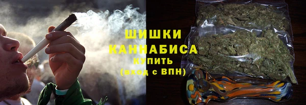 прущие грибы Баксан