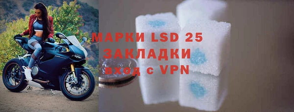прущие грибы Баксан