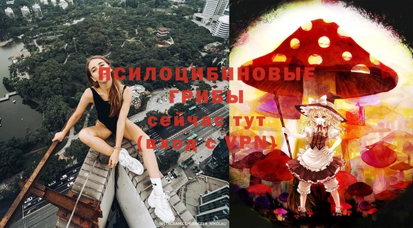 прущие грибы Баксан