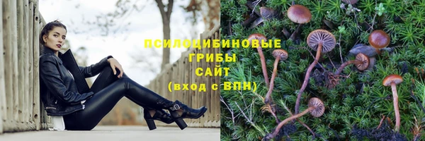 сатива Белоозёрский