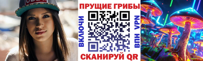kraken зеркало  что такое наркотик  Заполярный  Псилоцибиновые грибы Cubensis 